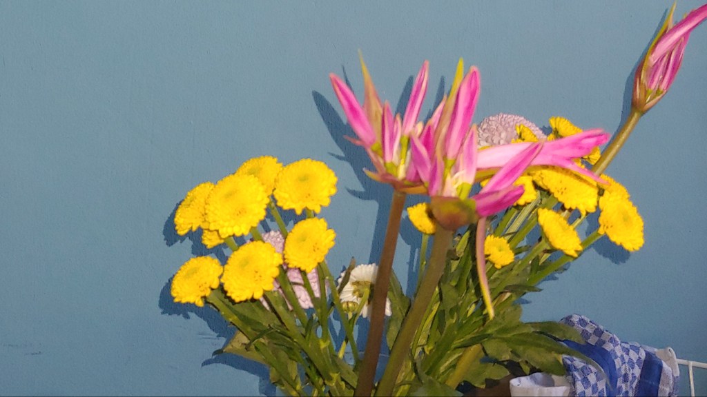 Nichtmal für den ganzen&nbsp;Tee